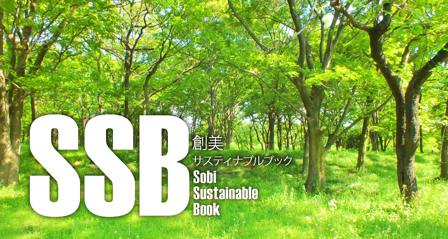 創美内部資料[SSB vol.2]公開